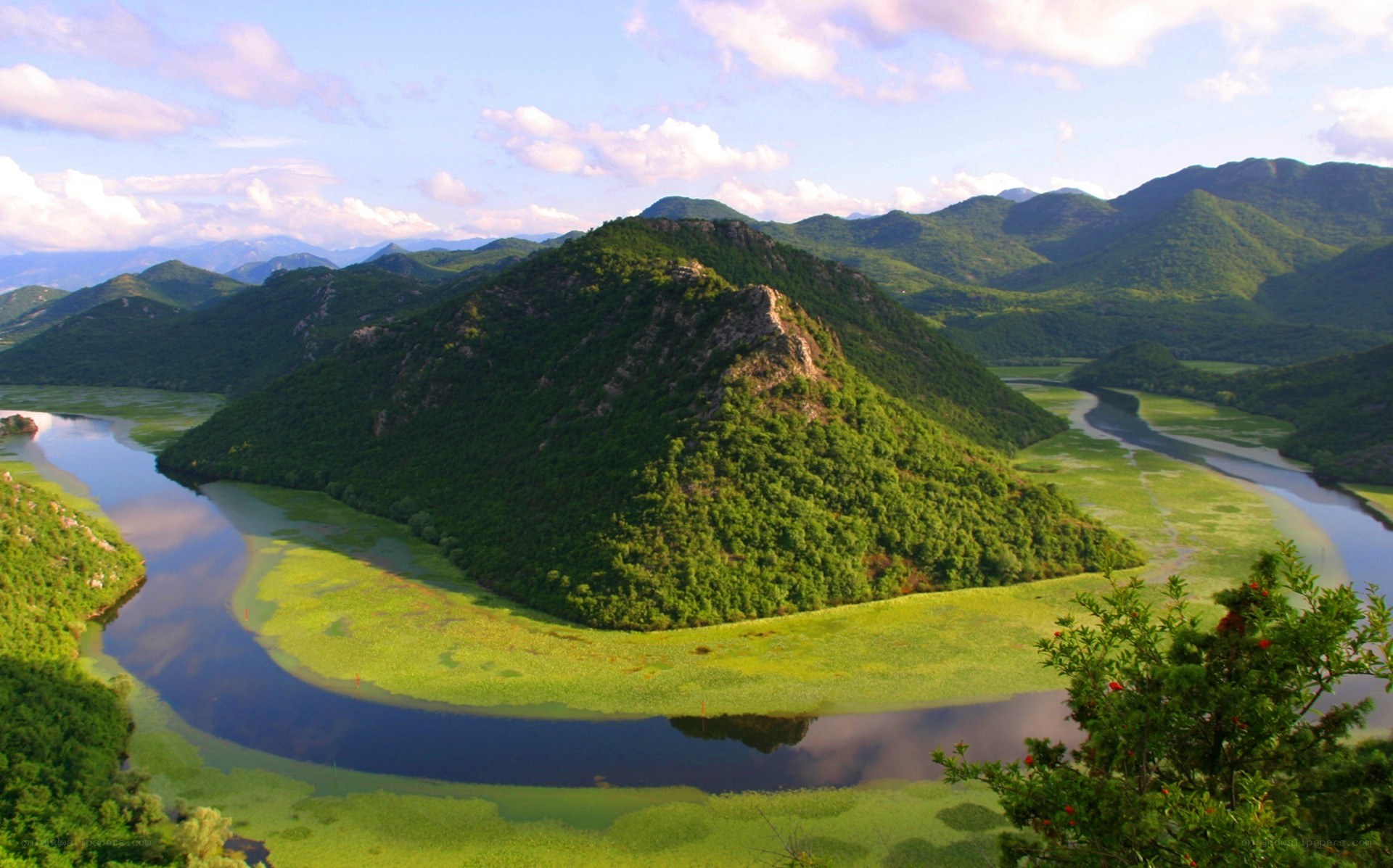 river winding through green hills