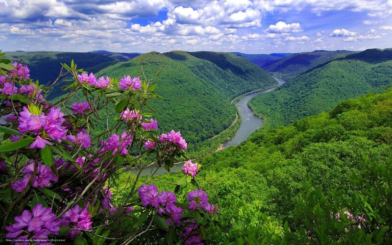 River winding through green hills