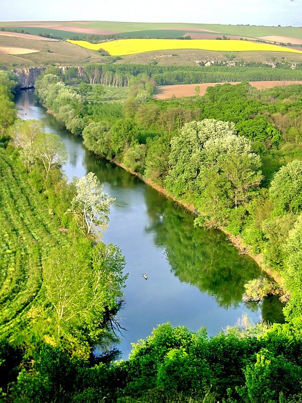 River winding through green landscape