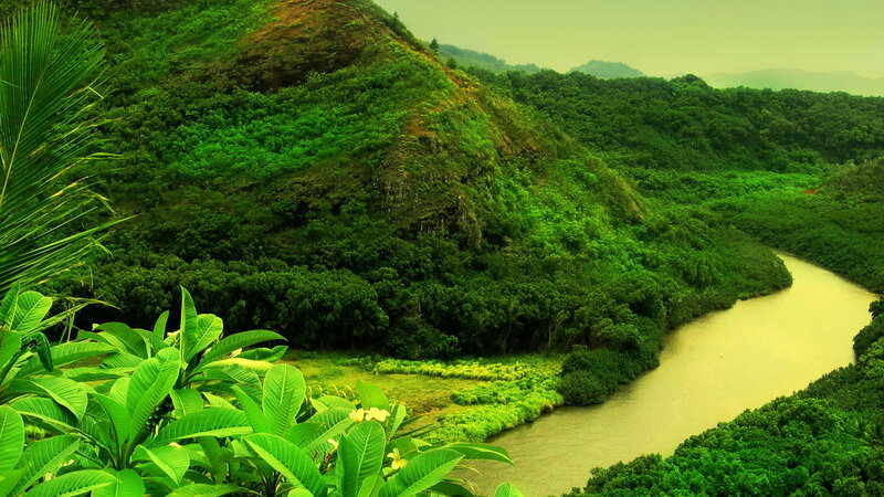River Winding Through Jungle — Green, Serene, Photograph