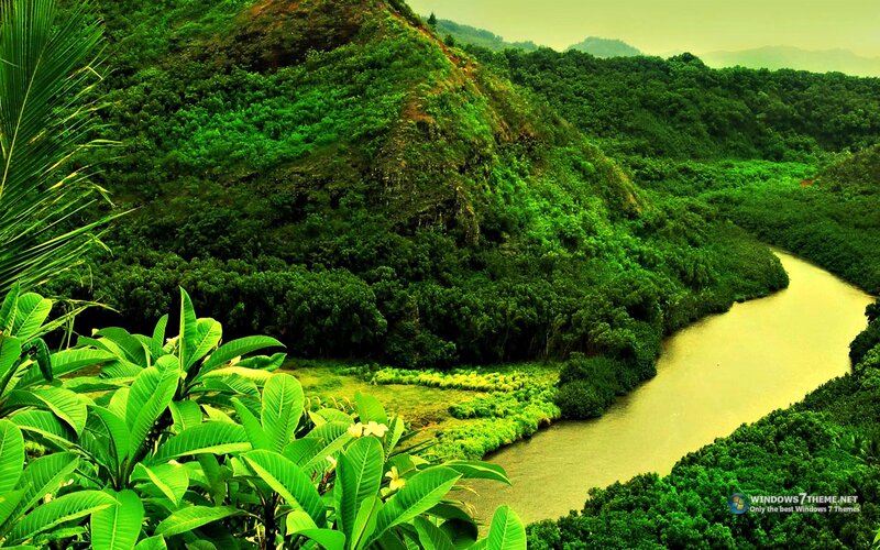 River Winding Through Jungle
