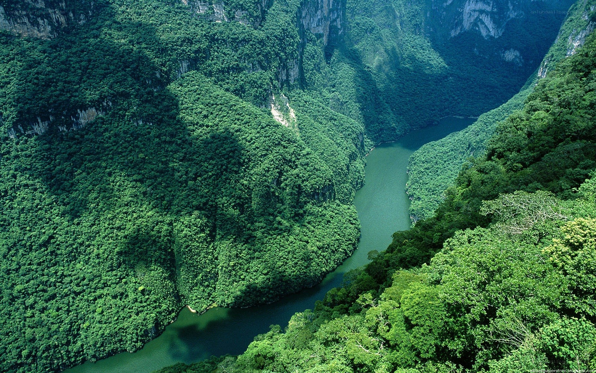 river winding through lush canyon