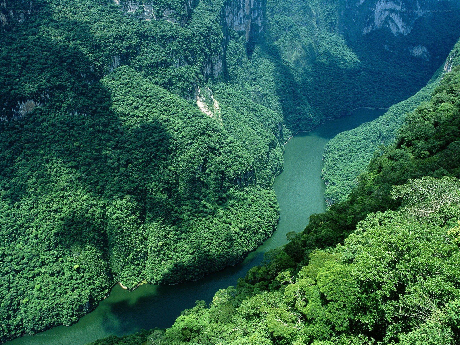 river winding through lush canyon