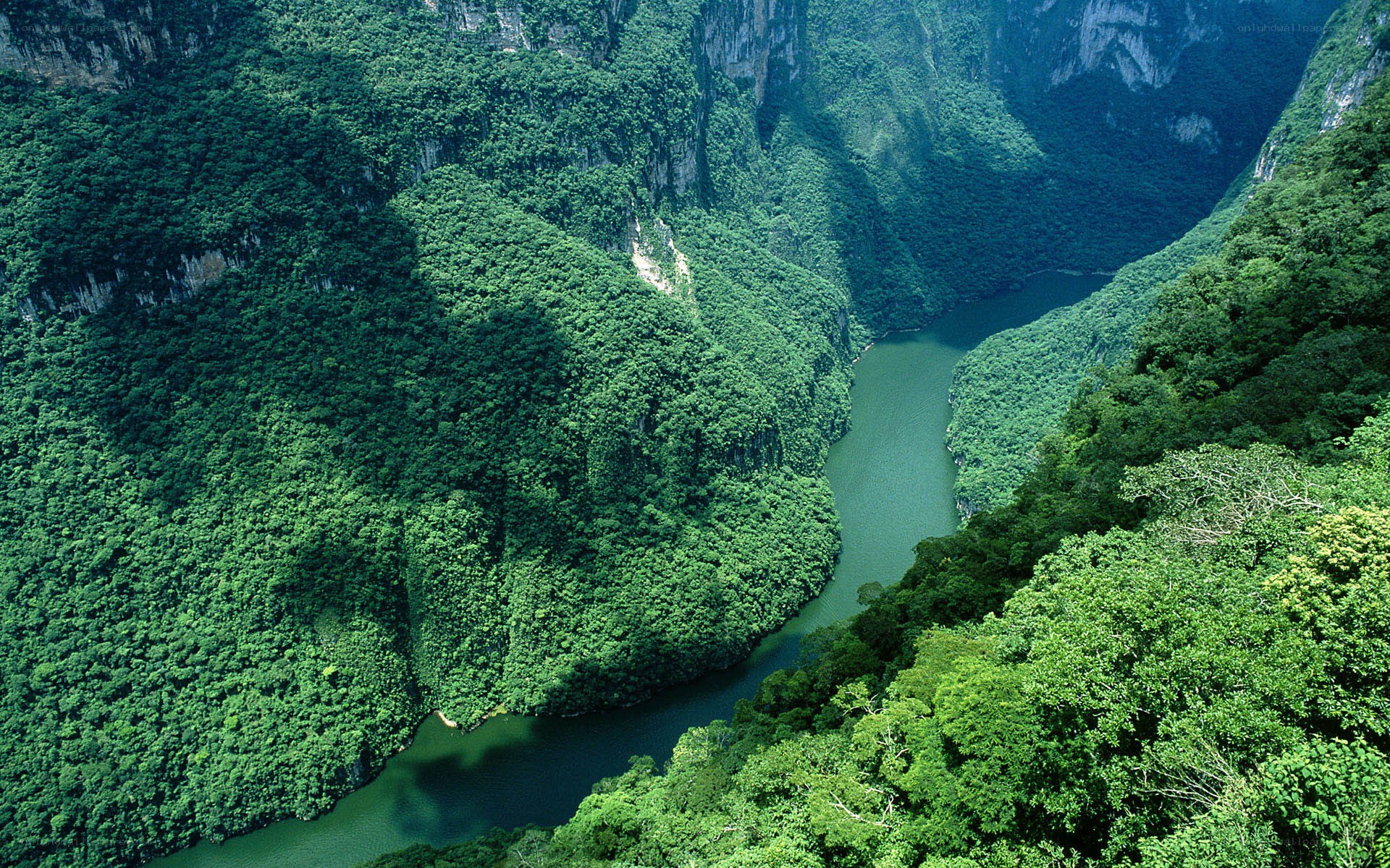 River winding through lush canyon