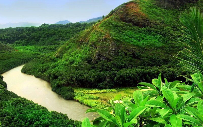 river winding through lush green hills