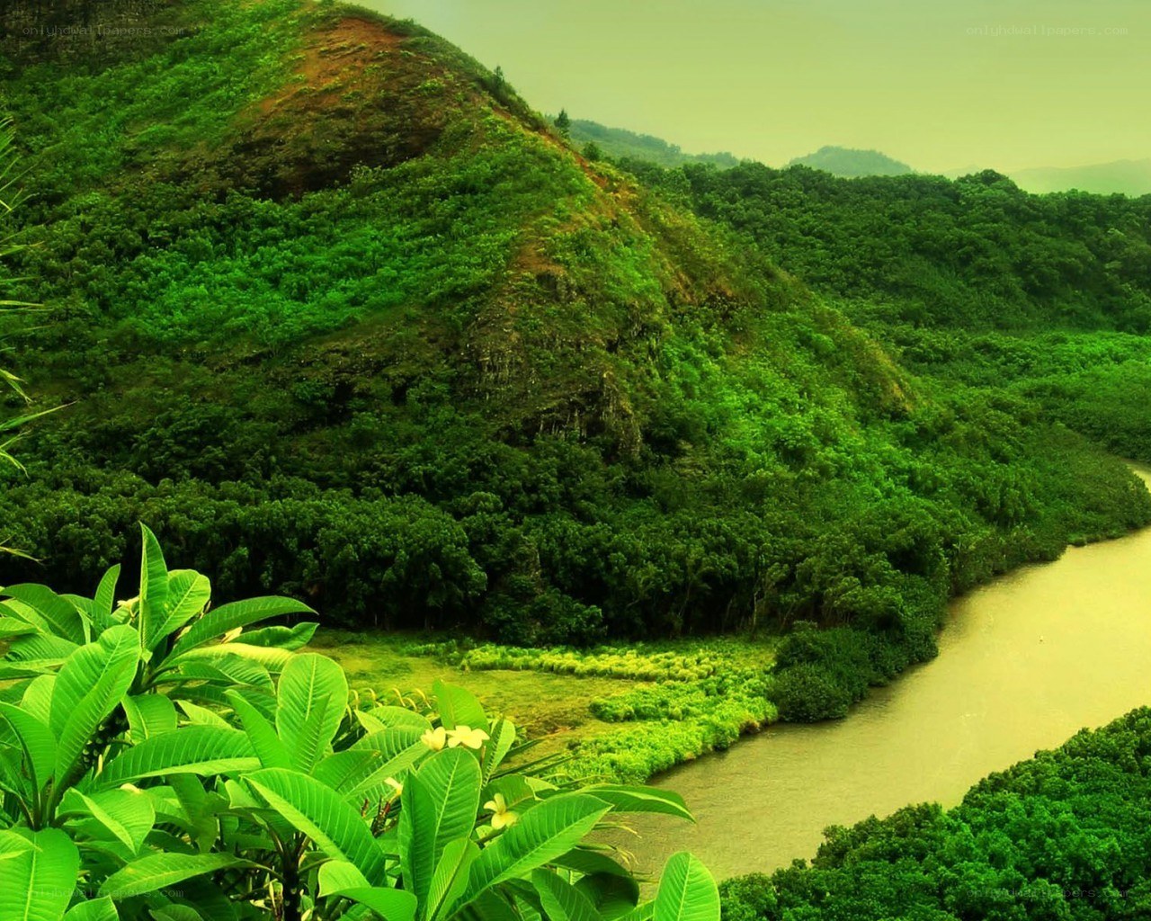 river winding through lush green hills