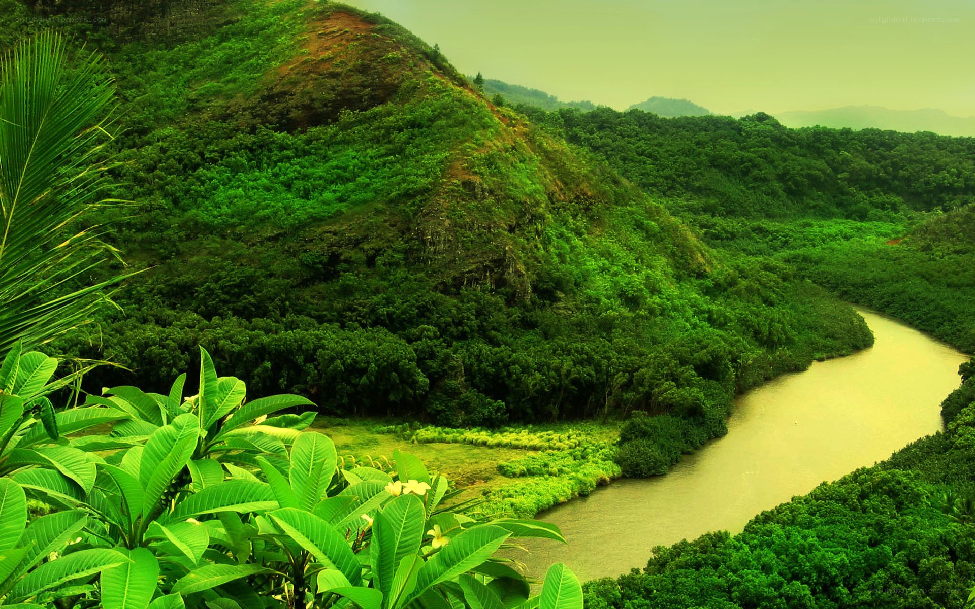 River winding through lush green hills