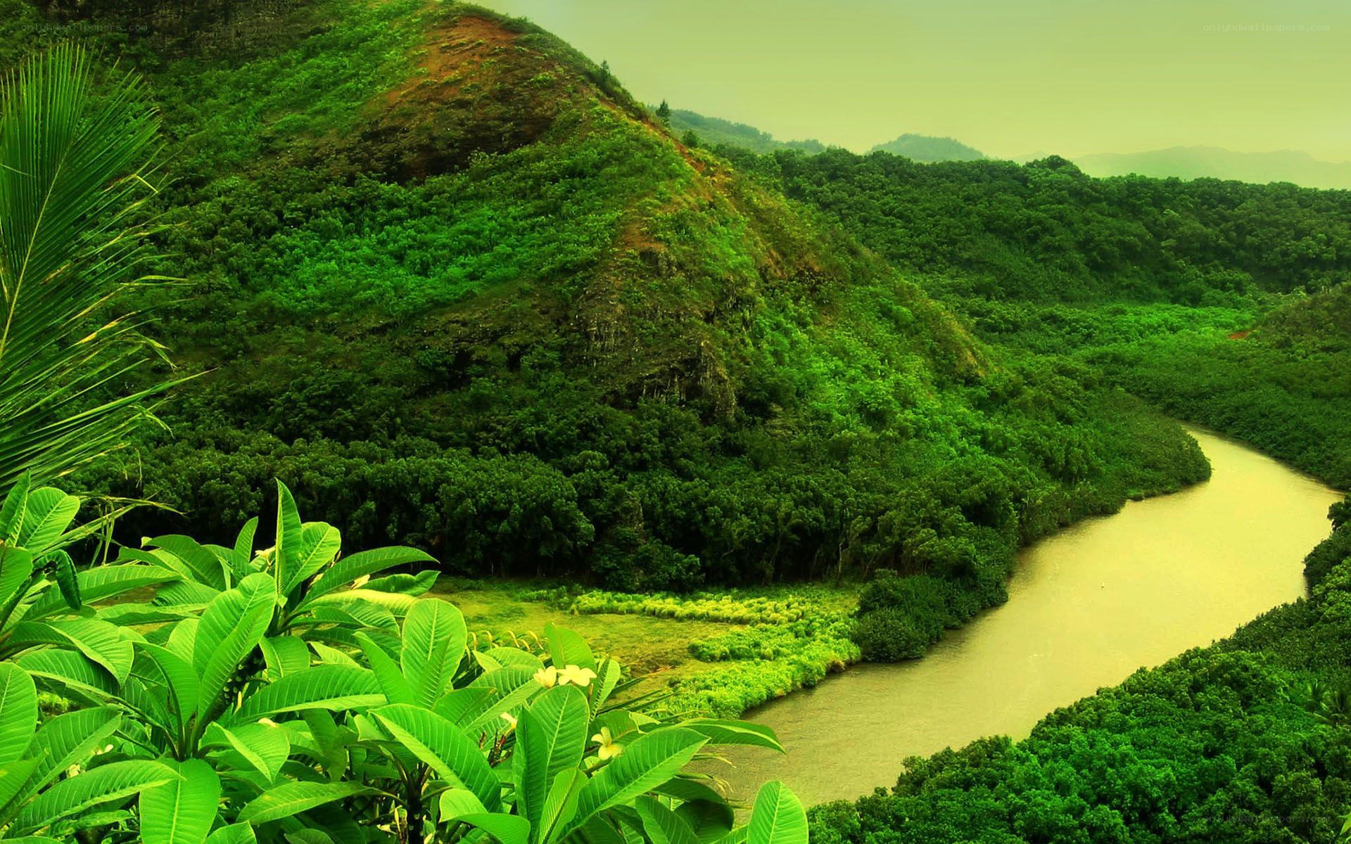 River winding through lush green valley