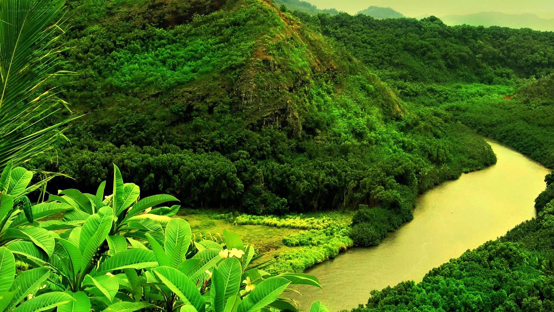 River winding through lush green valley