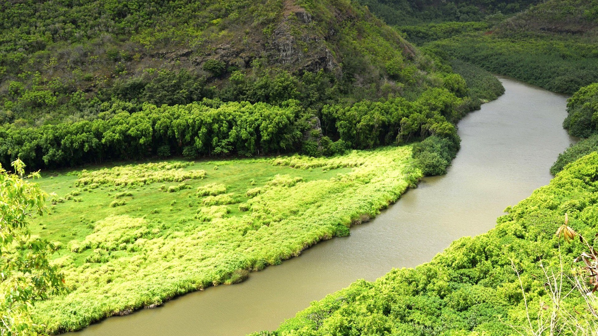 River winding through lush green valley