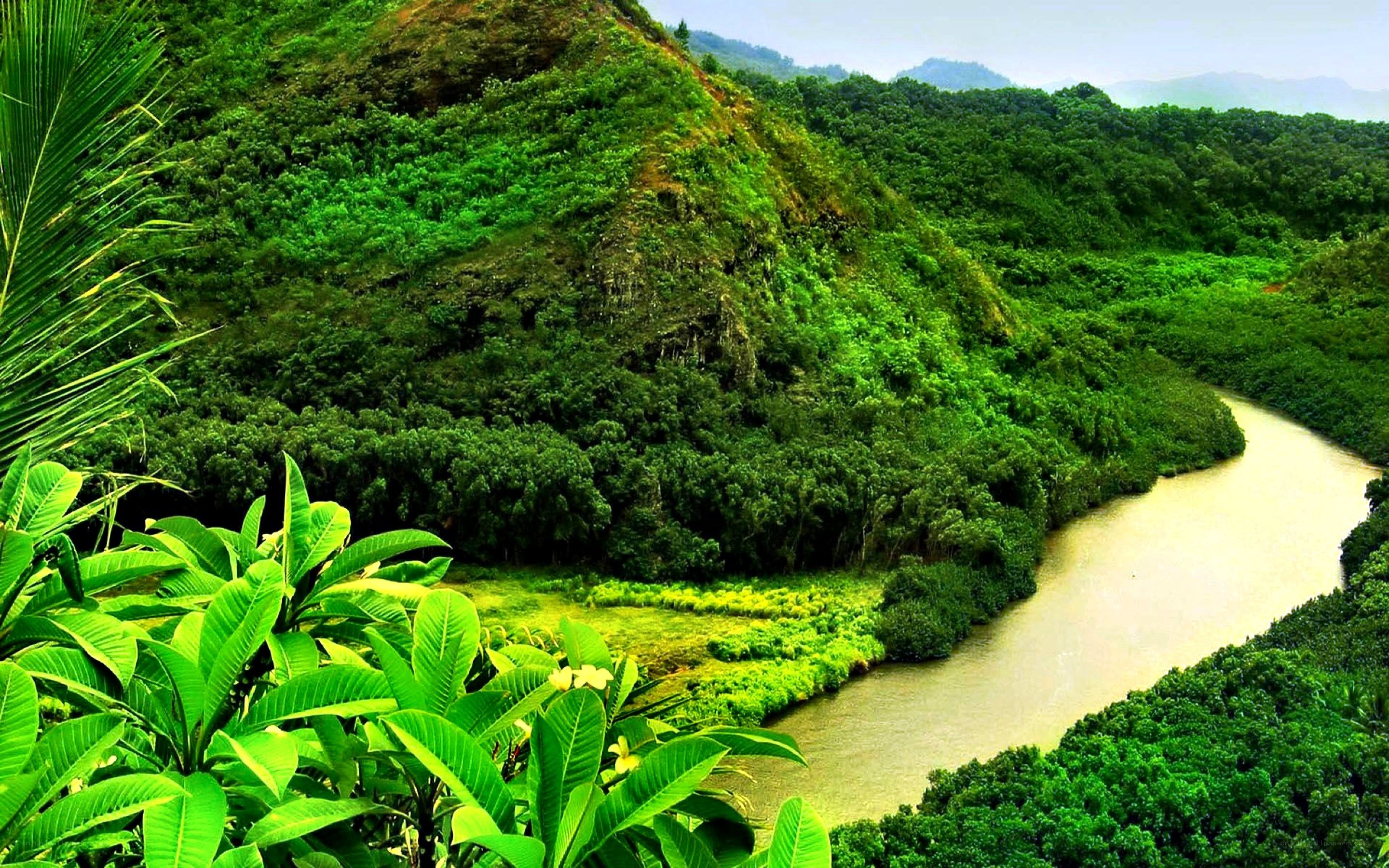 river winding through lush green valley