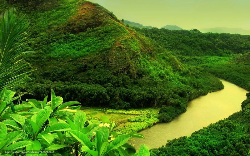 River winding through lush green valley