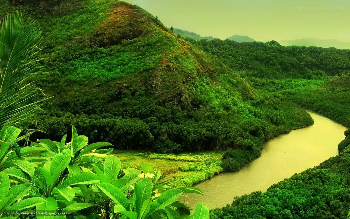 River winding through lush green valley