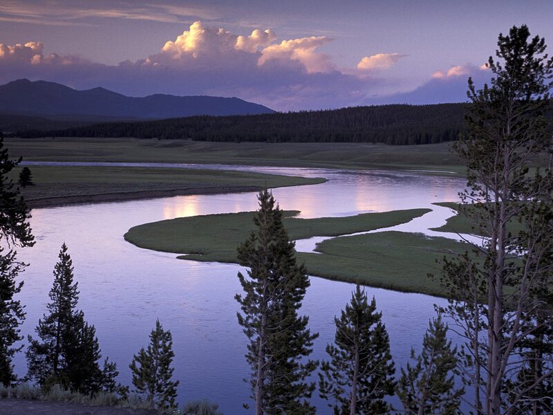 River Winding Through Meadow