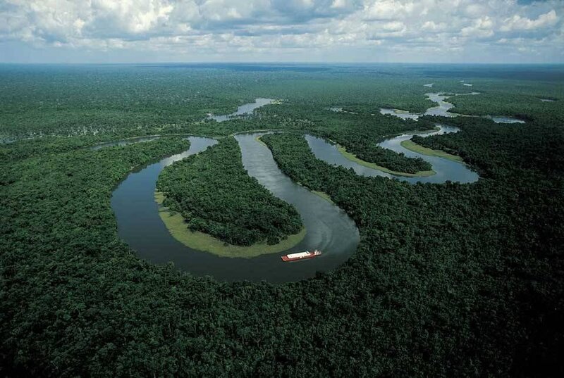 River Winding Through Rainforest — Green