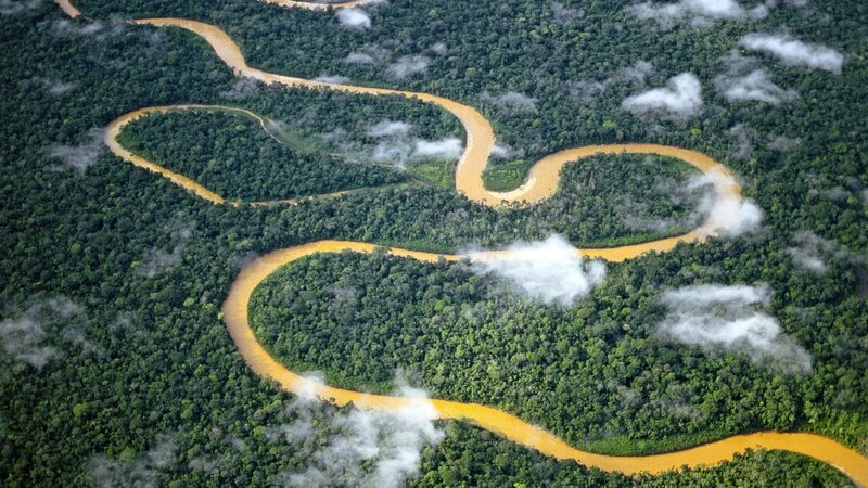 River winding through rainforest