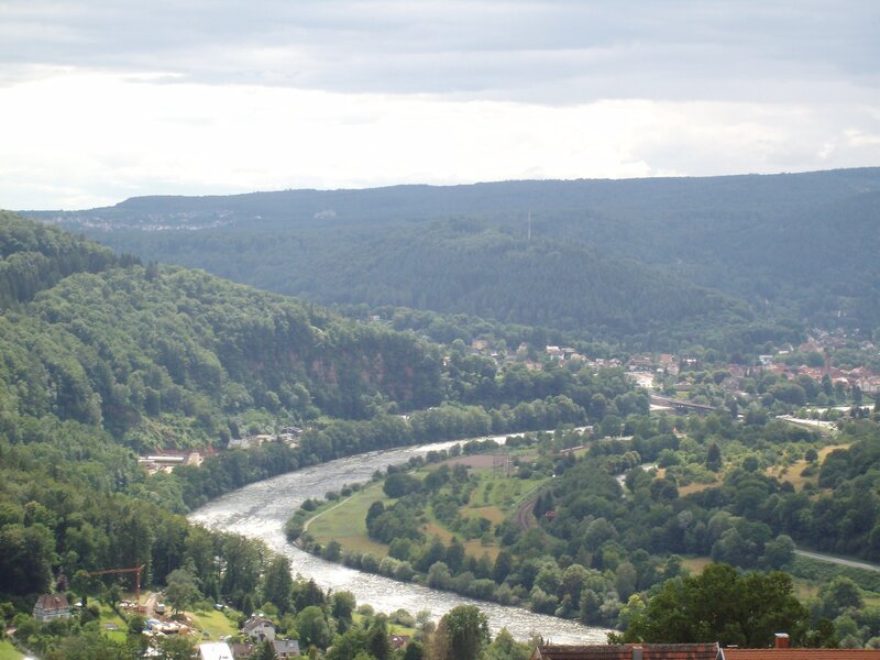 River Winding Through Valley — Green, Serene, Afternoon, Photograph, Forest, Town