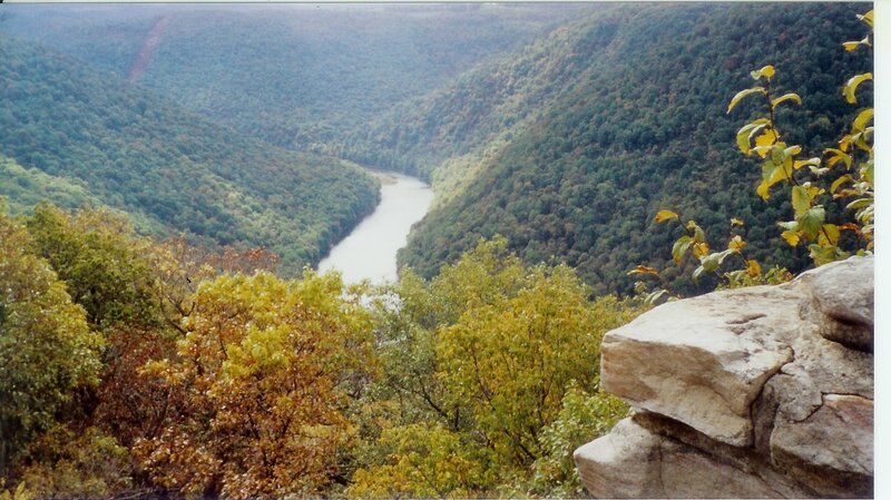 River Winding Through Valley — Green, Serene, Autumn, Photograph, Trees