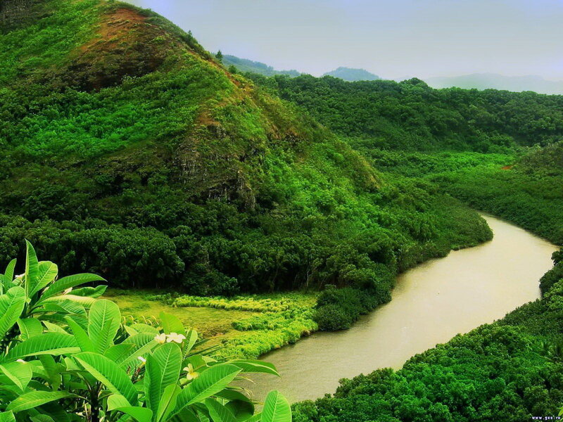 River Winding Through Valley — Green, Serene, Morning