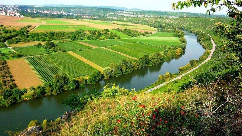 River Winding Through Vineyards — Green