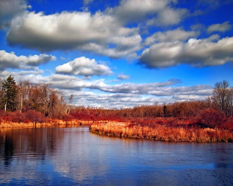 River with Autumn Foliage — Blue, Serene