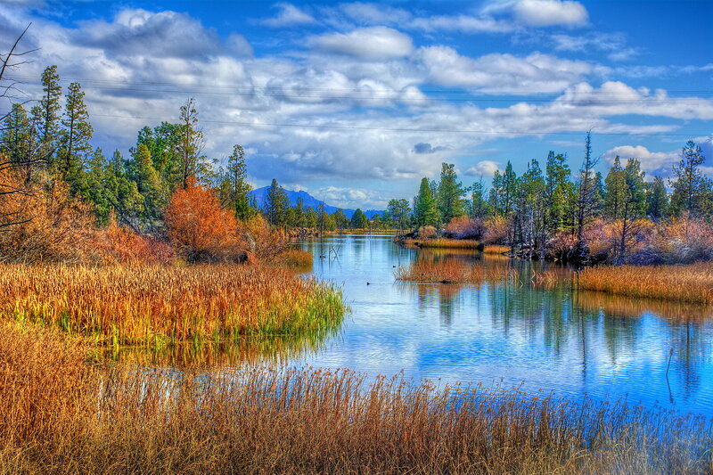River with Autumn Foliage — Blue