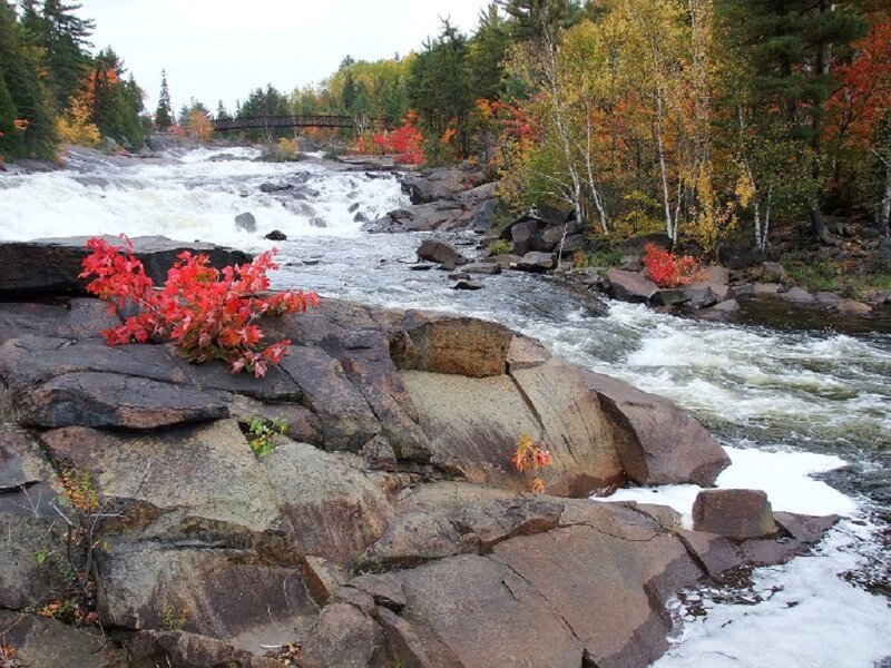 River with Autumn Foliage — Red, Serene, Photograph