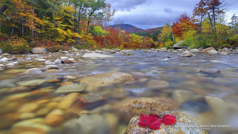 River with Autumn Foliage — Red, Serene, Photograph, Trees, Rocks