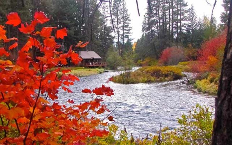 River with Autumn Foliage — Red, Serene, Photograph, Trees