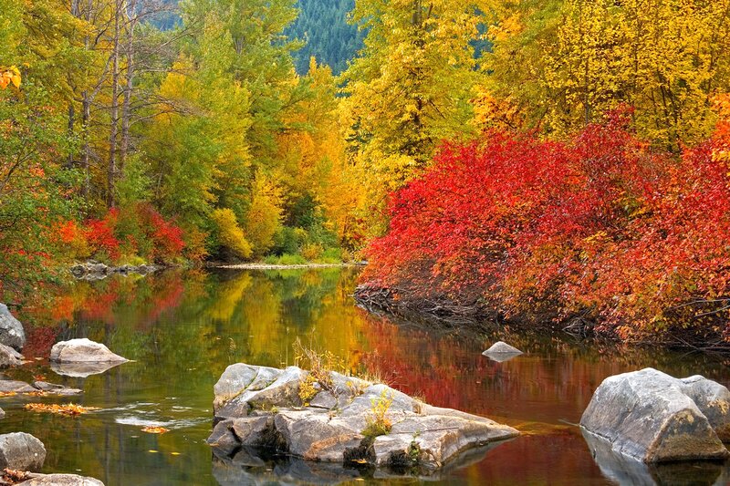River with Autumn Foliage — Red