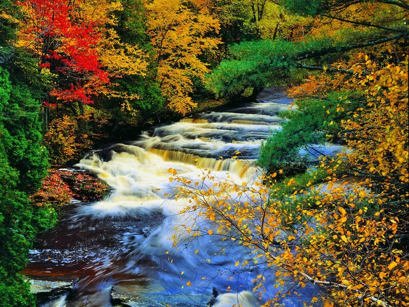 River with Autumn Foliage — Yellow, Serene