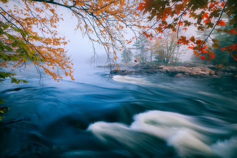 River with Autumn Leaves — Blue