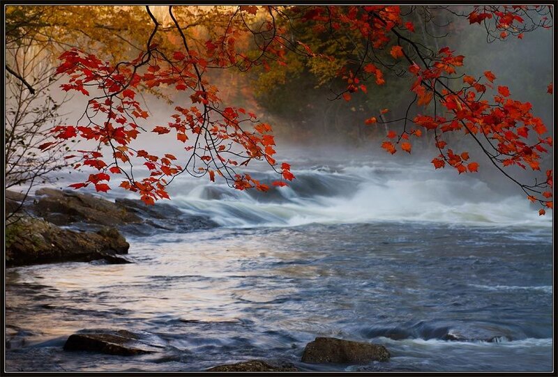 River with Autumn Leaves