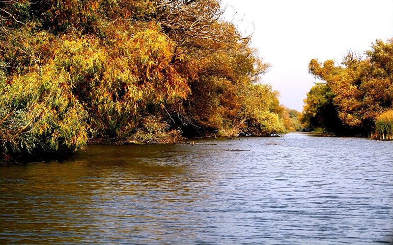 River with autumn trees