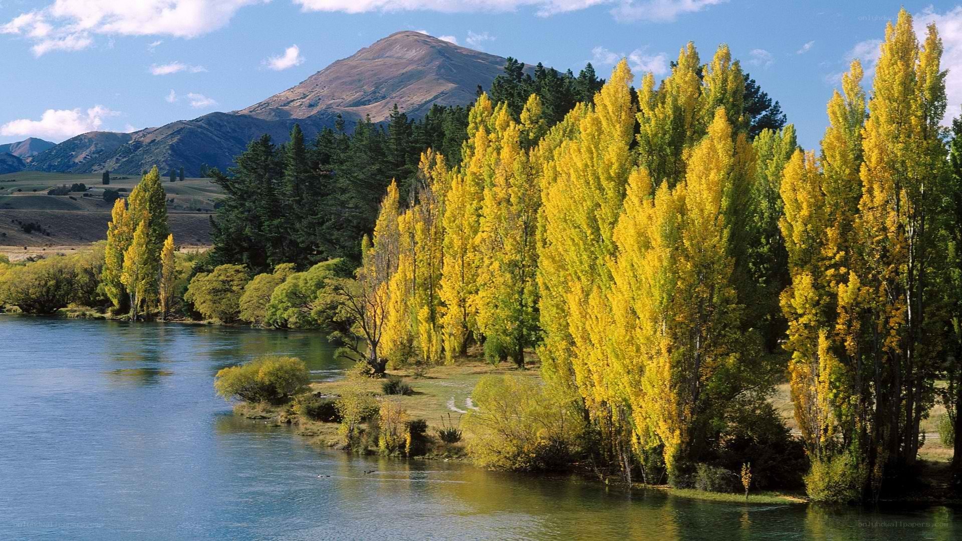 River with autumn trees and mountain