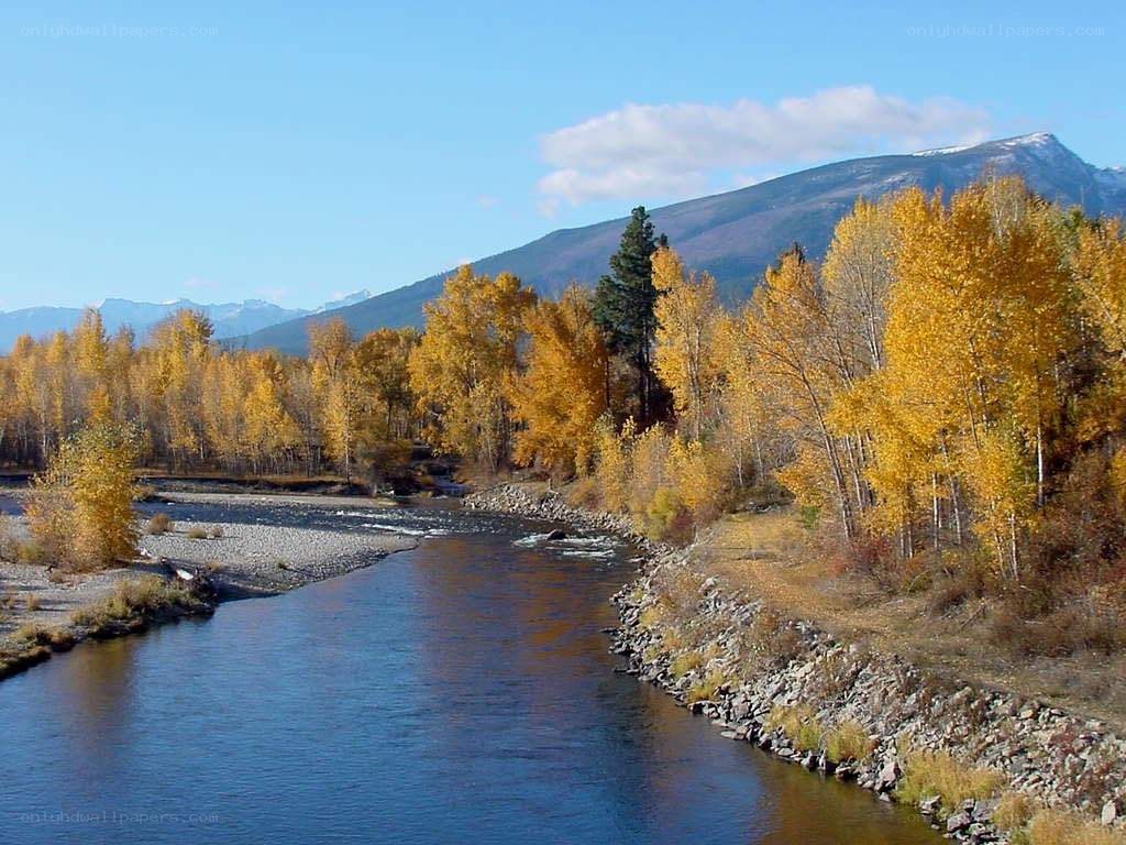river with autumn trees and mountains