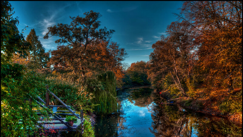 River with Autumn Trees — Blue, Serene, Photograph, Bridge, Willow