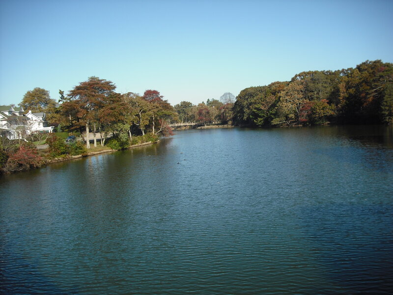 River with Autumn Trees — Blue, Serene, Photograph, House