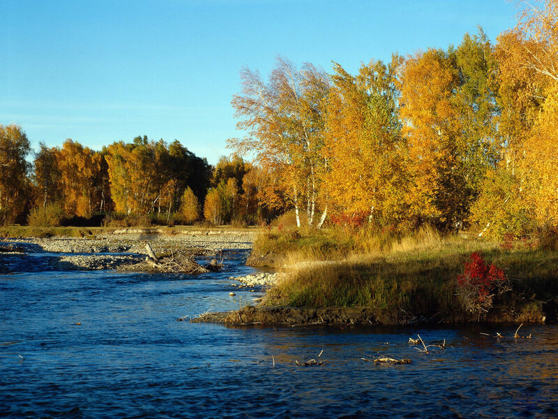 River with Autumn Trees — Blue, Serene, Photograph, Sky, Yellow