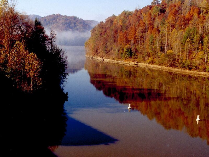 River with Autumn Trees — Brown, Serene