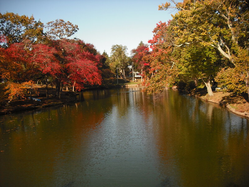 River with Autumn Trees — Green, Serene, Photograph, Sky