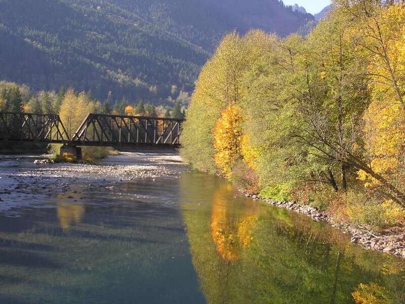 River with Autumn Trees — Green, Serene, Photograph