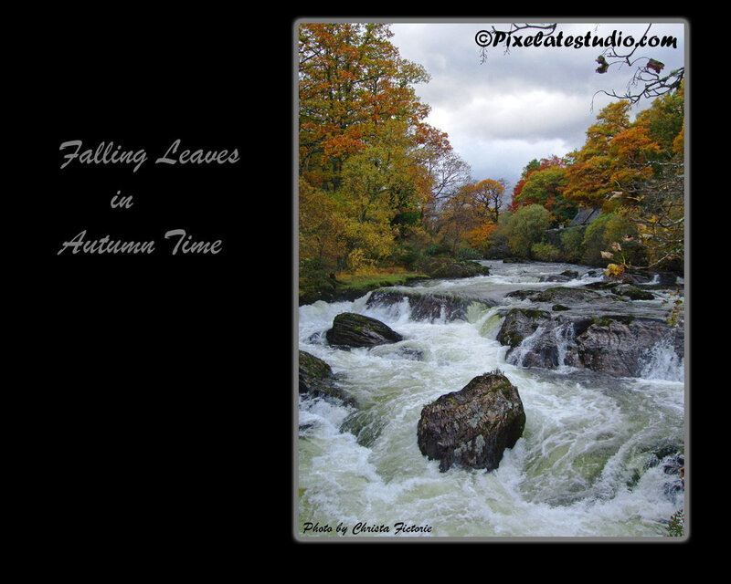 River with Autumn Trees — Green, Serene