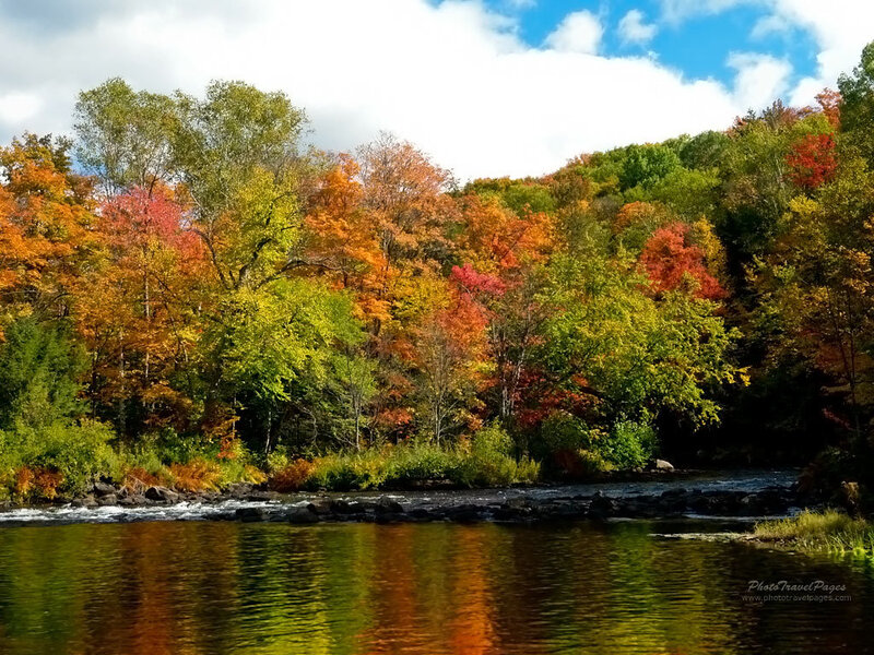 River with Autumn Trees — Green
