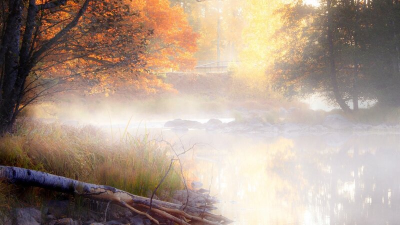 River with Autumn Trees — Orange, Serene, Morning