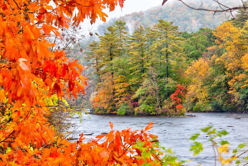 River with Autumn Trees — Orange, Serene, Photograph, Mountain