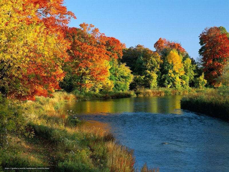River with Autumn Trees — Orange, Serene, Photograph, Sky, Grass