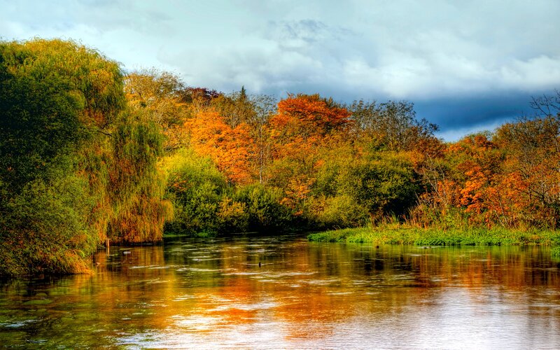 River with Autumn Trees — Orange, Serene, Photograph, Sky