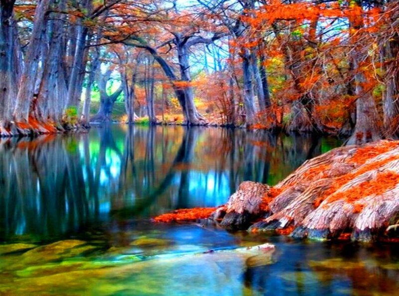 River with Autumn Trees — Orange, Serene, Photograph