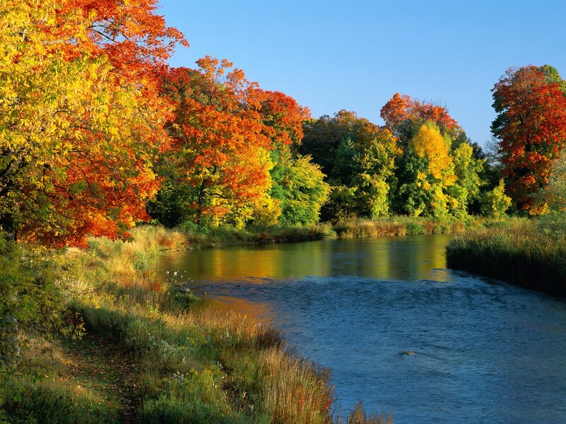 River with Autumn Trees — Orange, Serene